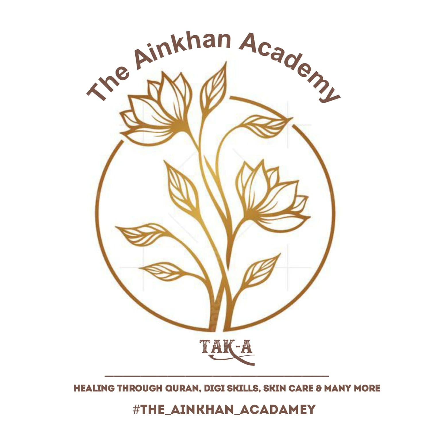 The Ain Khan Academy